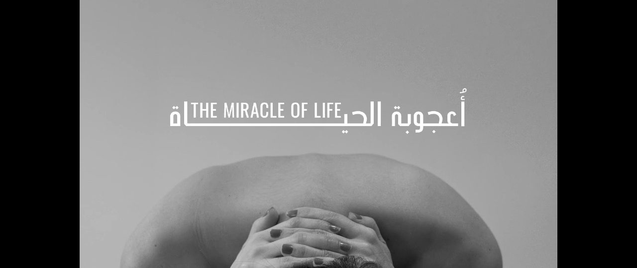 فيلم أعجوبة الحياة: في صمت الحمل