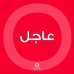 القاضي البيطار يقبل الشكوى المباشرة لزياد ريشا الذي فقد والدته في انفجار المرفأ