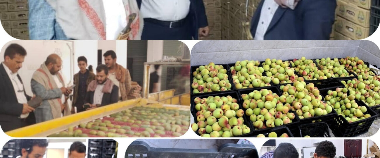 وكيل محافظة صنعاء يشيد بدور مؤسسة الفتح للإنتاج والتسويق الزراعي في دعم المزارع وتصدير المنتجات الزراعية للاسواق العالمية